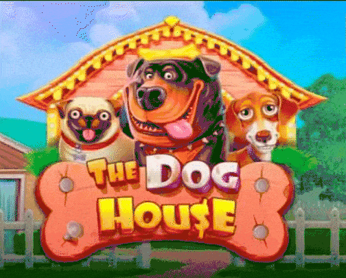 play the dog house in goldzino casino